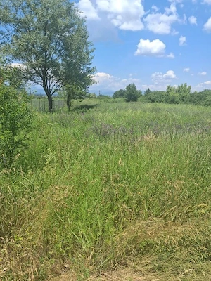 Teren extravilan 2.500 mp | Str. Ana Ipătescu, Târgu Jiu - imagine 2