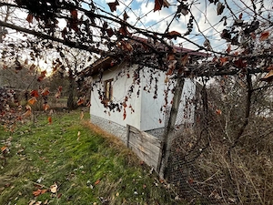 Casă + teren generos de vânzare în Strâmba Jiu - imagine 7