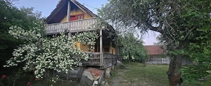 Casă cu 7.769 mp teren și pădure | Budieni | 53.000€ - imagine 12