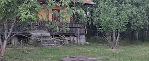 Casă cu 7.769 mp teren și pădure | Budieni | 53.000€ - imagine 6