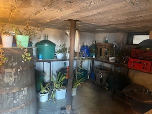 Proprietate cu potențial turistic și agricol | 7.661 mp|Șomanești-GORJ - imagine 17
