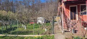 Casă P+M cu 1.558 mp teren, livadă și garaj - imagine 12
