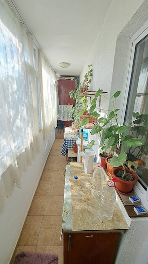 Ap. 2  camere Vidin ETAJ 2 - imagine 5