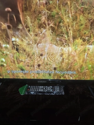 Led tv hd Star Light 80 cm