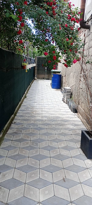 Casă de  vânzare Chitila, sector 1  - imagine 5
