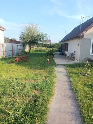 Teren cu casa veche în sanandrei.  - imagine 3