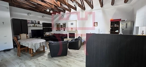 Casa  zona Platinia Parcul Mare curte teren 800mp + apartament/ birou
