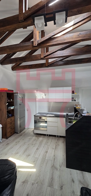 Casa  zona Platinia Parcul Mare curte teren 800mp + apartament/ birou - imagine 9