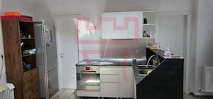 Casa  zona Platinia Parcul Mare curte teren 800mp + apartament/ birou - imagine 14