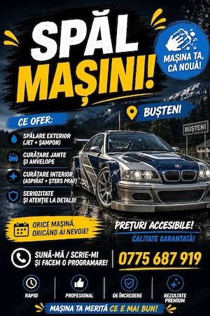spal masini busteni