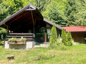 Proprietate deosebita de vanzare – Voinesița, Comuna Voineasa - imagine 3