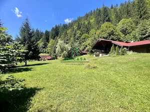 Proprietate deosebita de vanzare – Voinesița, Comuna Voineasa - imagine 11
