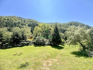 Proprietate deosebita de vanzare – Voinesița, Comuna Voineasa - imagine 10