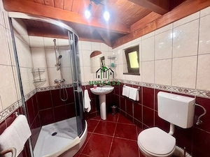 Proprietate deosebita de vanzare – Voinesița, Comuna Voineasa - imagine 18