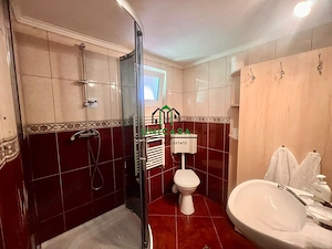 Proprietate deosebita de vanzare – Voinesița, Comuna Voineasa - imagine 15