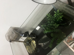 Acvariu 25 l cu incalzitor, filtru si accesorii - imagine 2