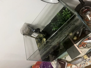 Acvariu 25 l cu incalzitor, filtru si accesorii - imagine 4