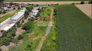 Teren intravilan 5029mp | Ploiești | Exterior Est - imagine 2