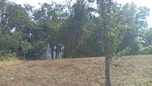 Casă bătrânească plus teren 13000 mp. Sălătrucel sat Serbănesti - imagine 11
