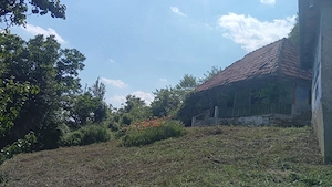 Casă bătrânească plus teren 13000 mp. Sălătrucel sat Serbănesti - imagine 7