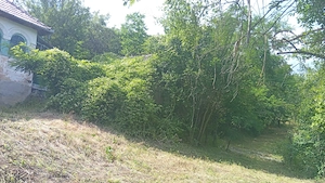 Casă bătrânească plus teren 13000 mp. Sălătrucel sat Serbănesti - imagine 9