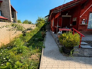 Casa din lemn masiv | 3 camere | Teren 5.000mp Berceni Prahova - imagine 3