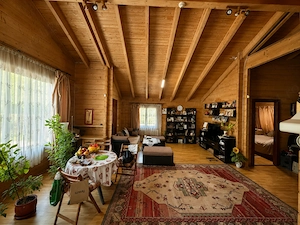 Casa din lemn masiv | 3 camere | Teren 5.000mp Berceni Prahova - imagine 7