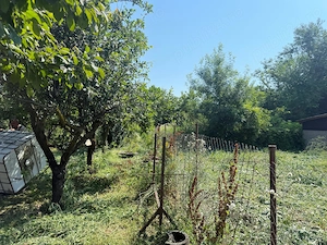 Casa din lemn masiv | 3 camere | Teren 5.000mp Berceni Prahova - imagine 10