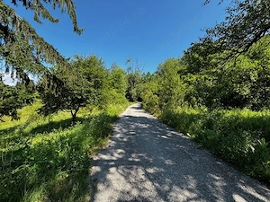 Teren doua loturi 3100 mp. - 2800 mp. Dăesti - Valcea - imagine 9