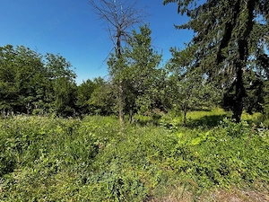Teren doua loturi 3100 mp. - 2800 mp. Dăesti - Valcea - imagine 6