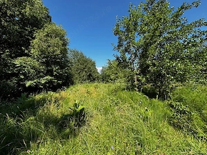 Teren doua loturi 3100 mp. - 2800 mp. Dăesti - Valcea - imagine 4