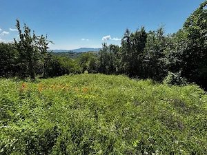 Teren doua loturi 3100 mp. - 2800 mp. Dăesti - Valcea - imagine 16