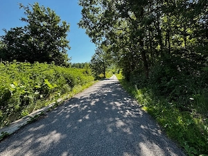Teren doua loturi 3100 mp. - 2800 mp. Dăesti - Valcea - imagine 2