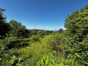 Teren doua loturi 3100 mp. - 2800 mp. Dăesti - Valcea - imagine 14