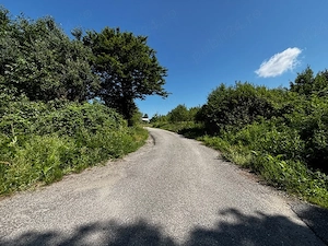 Teren doua loturi 3100 mp. - 2800 mp. Dăesti - Valcea - imagine 3