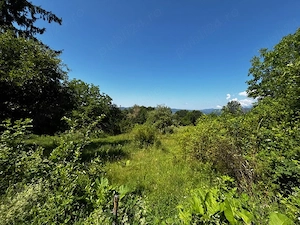 Teren doua loturi 3100 mp. - 2800 mp. Dăesti - Valcea - imagine 11