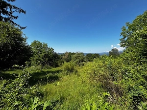 Teren doua loturi 3100 mp. - 2800 mp. Dăesti - Valcea - imagine 12