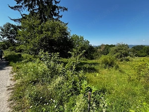 Teren doua loturi 3100 mp. - 2800 mp. Dăesti - Valcea - imagine 15