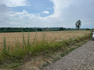 teren intravilan de vinzare  ilisesti  suceava  - imagine 3