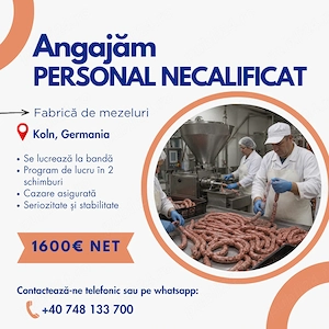 Angajăm prersonal necalificat Germania - imagine 2