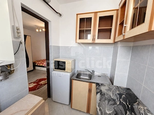 Apartament cu 1 cameră, mobilat, zona Gheorghe Doja   Micro 14 - imagine 5