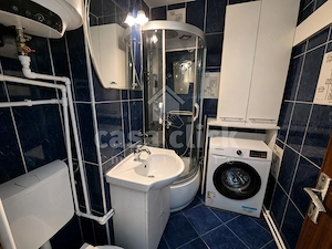 Apartament cu 1 cameră, mobilat, zona Gheorghe Doja   Micro 14 - imagine 7