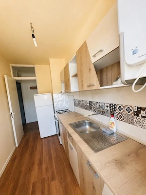 Apartament 1 camera 33mp- zona Bogdanestilor Timisoara  - imagine 4