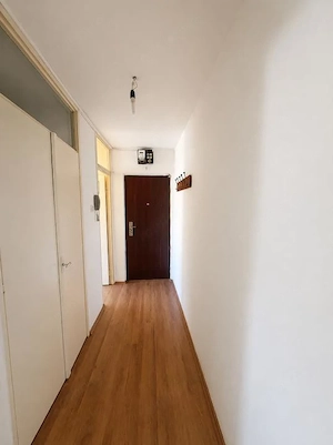 Apartament 1 camera 33mp- zona Bogdanestilor Timisoara  - imagine 2