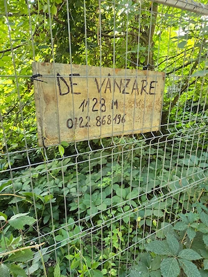Teren de vanzare Snagov sat,intr. Salcamilor,pădurea Fundu Sacului...1128m...120 m