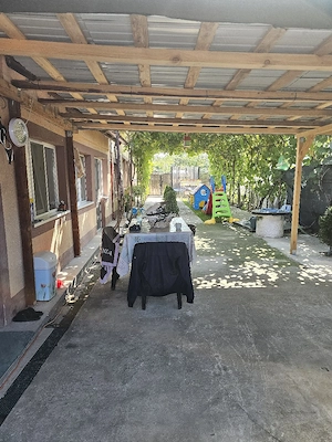 Vand casa in Osica De Sus  - imagine 4
