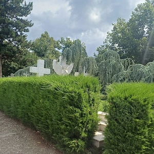 cavou straulesti 1 - imagine 2
