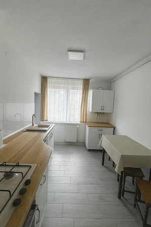 Apartament 2 camere decomandate zona Terezian - imagine 2