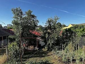 Central - Vanzare casa, curte comuna - imagine 5