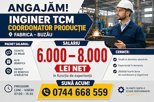 Inginer TCM- coordonator productie fabrica